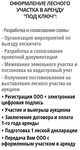 ОФОРМЛЕНИЕ ЛЕСНОГО УЧАСТКА В АРЕНДУ "ПОД КЛЮЧ": - Разработка и согласование схемы - Организация мероприятий по выезду лесничего - Разработка и согласование проектной документации - Межевание земельного участка и постановка на кадастровый учет - Получение поставновления на выставление лесного участка на аукцион + Регистрация ООО + электронная цифровая подпись + Участие и выигрыш аукциона + Заключение договора и оплата 1-го года аренды + Подготовка 1 лесной декларации + Передача Вам ООО с оформленным участком в аренду